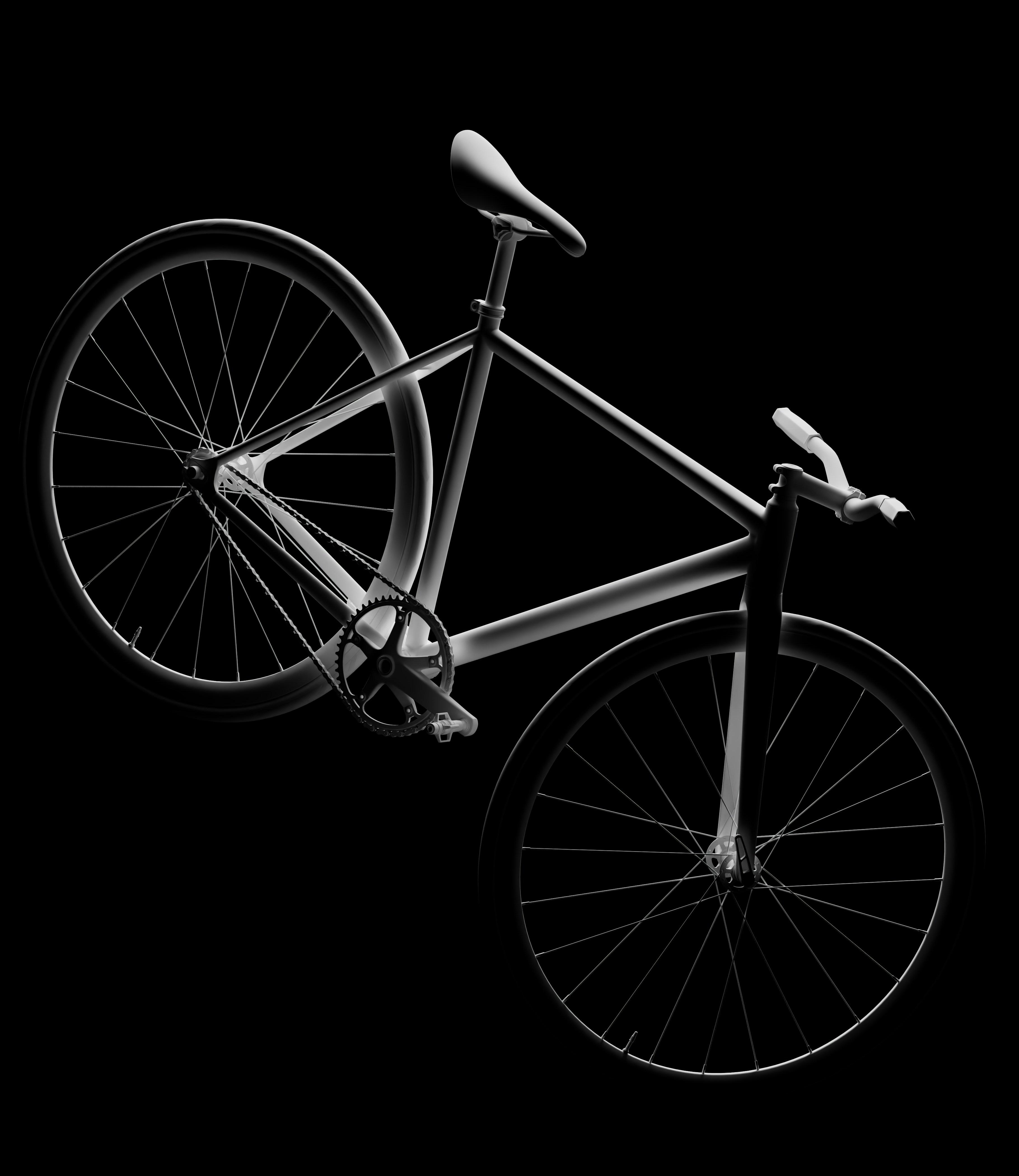 Custom Bike